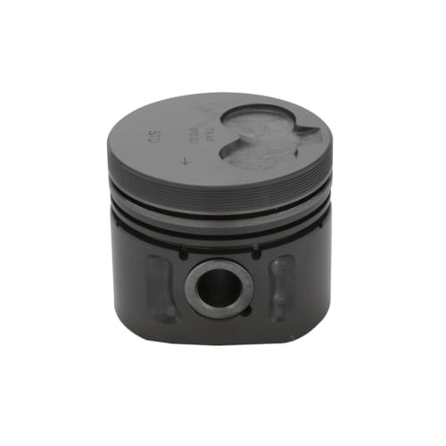 PISTAO COM ANEL - VW GOLF 1.9D EUROVAN 2.4D (CX P | 1CIL)