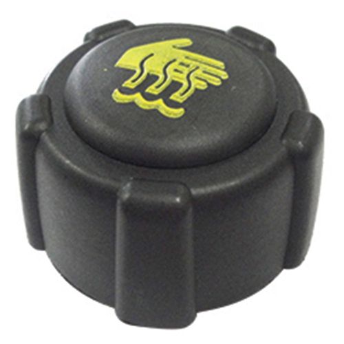 Tampa Reservatório Expansão Renault Megane 1997 a 2012 - 196759 - 25753