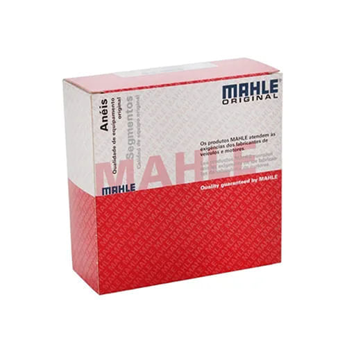 ANEL DE MOTOR - GM CORSA 1.0 8V