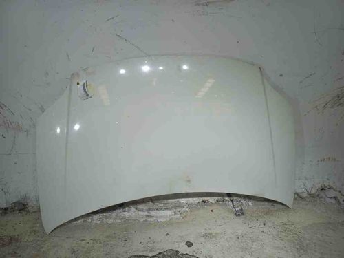 CAPO FIAT PALIO 1.6 2016