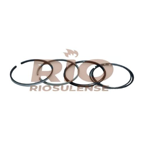 ANEL DE MOTOR - FORD ZETEC ROCAM 1.0 8V SOHC STD