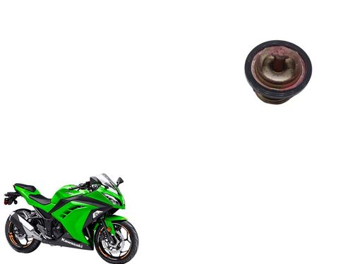 Válvula Termostática Kawasaki Ninja 300 Ninja300 13-18