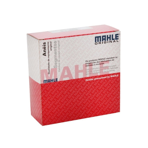ANEL DE MOTOR - GM C10 C14 C60