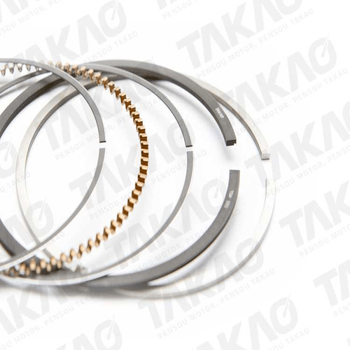 Anel (JG)-1.6L  16V      DOHC  K4M         GAS/FLEX  01-04  CLIO, SCENIC, 02-06 KANGOO, 01-05 MEGANE(1,00)