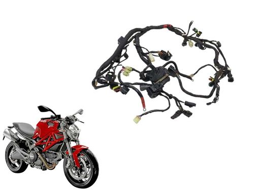 Chicote Principal Monster 796 2013 2014 C/detalhe