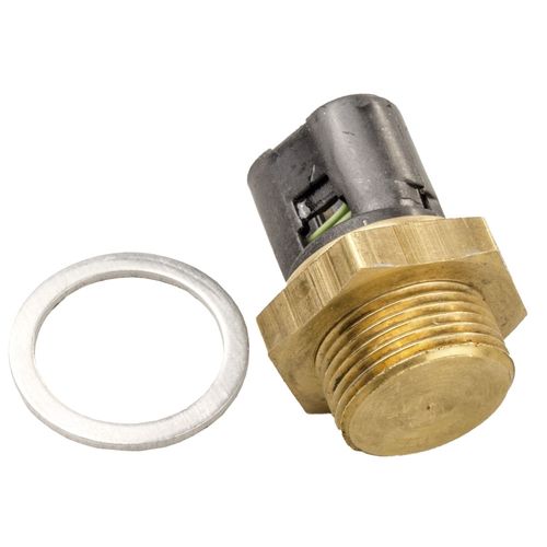 Termo-Interruptor (Cebolão) Renault Megane 1996 a 2012 - 181451 - 18219282