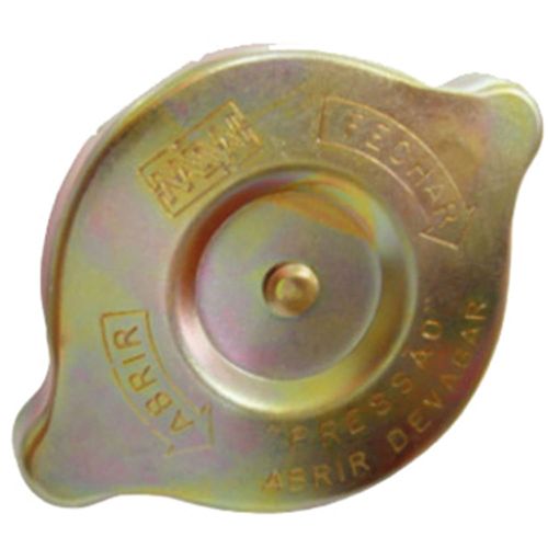 Tampa Radiador Caminhoes F11000 1964 a 1979 - 147744 - 24014