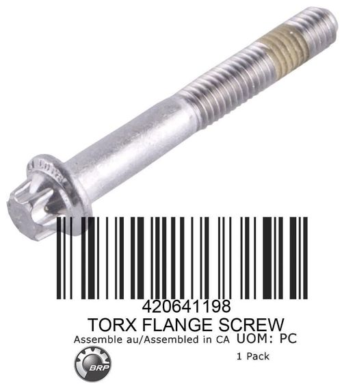 PARAFUSO TORX M6 X 45 (420641198)