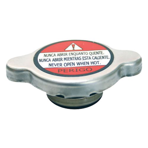 Tampa Radiador Mazda Protege 1995 a 1998 - 831714 - TC7093