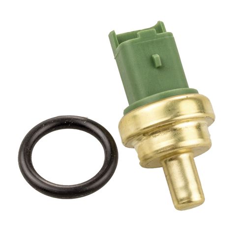 Cebolinha Temperatura C3 2013/2016 - 39046 - 44083