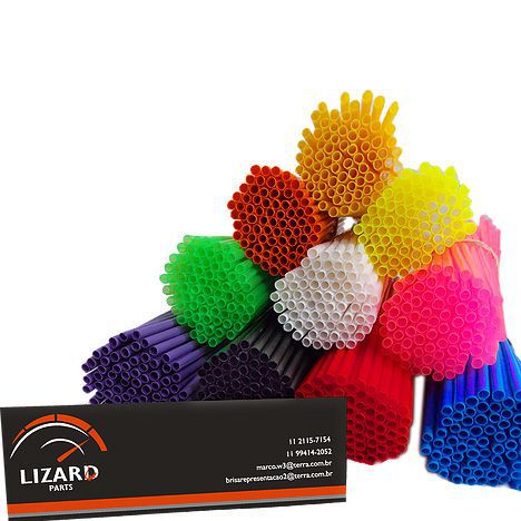 Capa de Raio Lizard