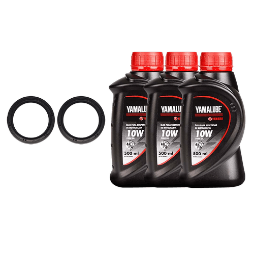 Par Retentores Óleo Suspensão 10W TDM 850 96-01 Original